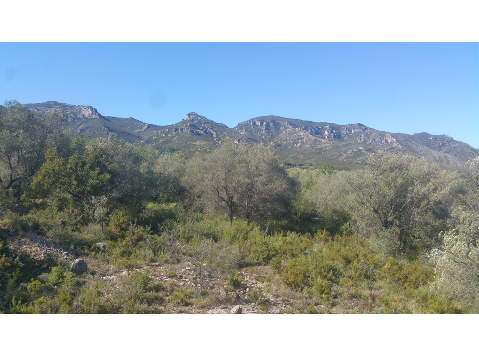 Finca en San Rafael Del Rio, Castellon - foto 4